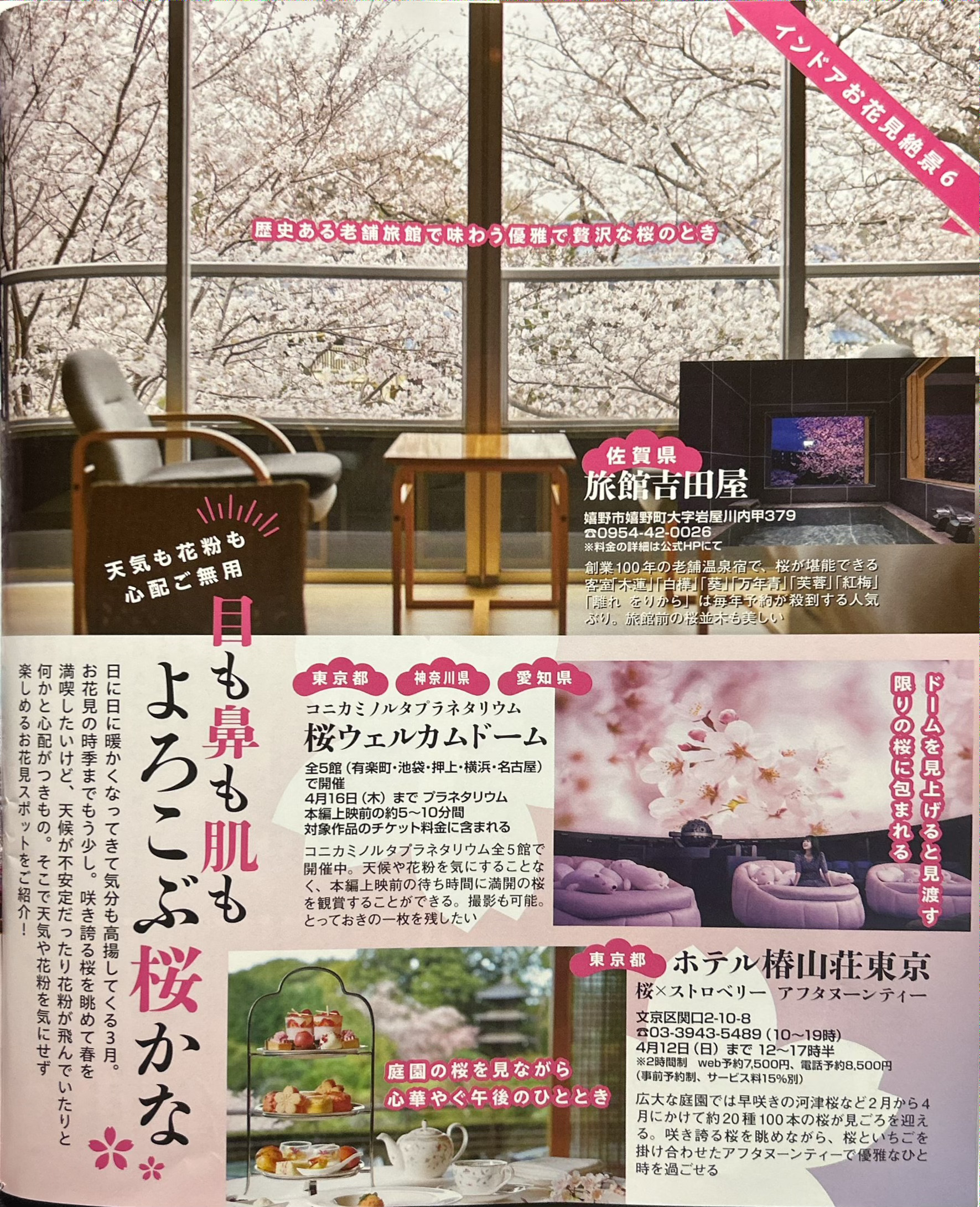 女性自身～花粉知らずのお花見特集～にて吉田屋をご紹介して頂きました！！