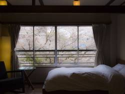 【客室：木蓮】ベッドのなかからも桜がお目見え。朝の目覚めから春を感じる光景です。