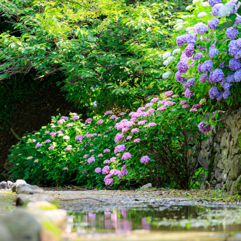 轟の滝